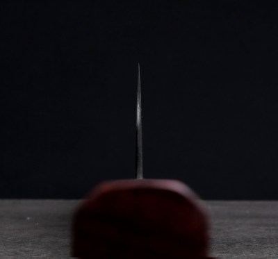 sakimaru-gyuto220-2