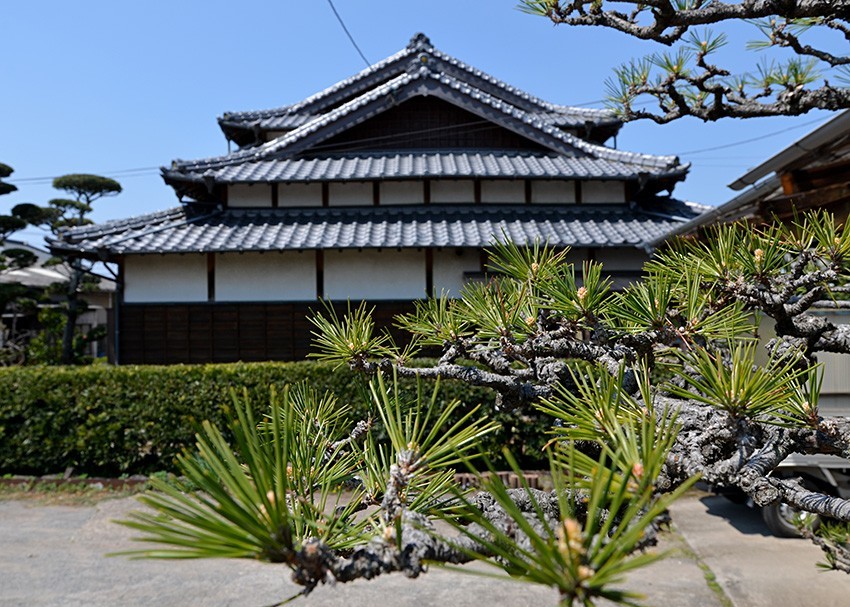 matsubara18